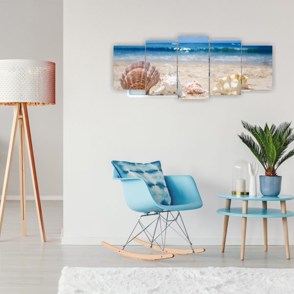 1032 Caracolas marinas - Imagen 4