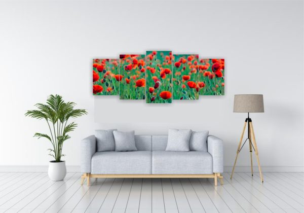 1019 Amapolas