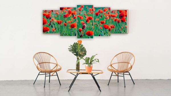 1019 Amapolas - Imagen 3