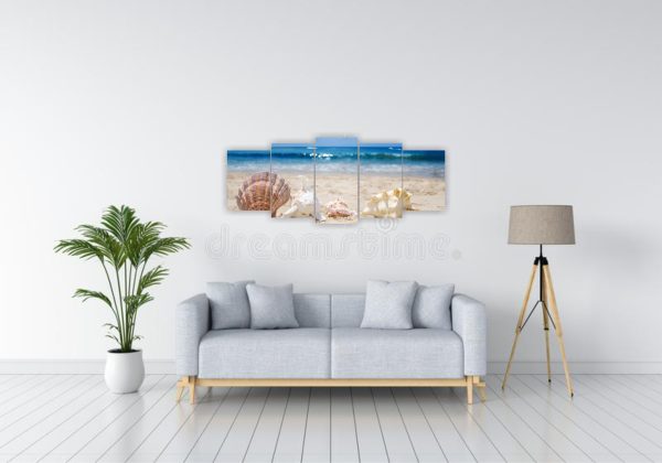 1032 Caracolas marinas - Imagen 2