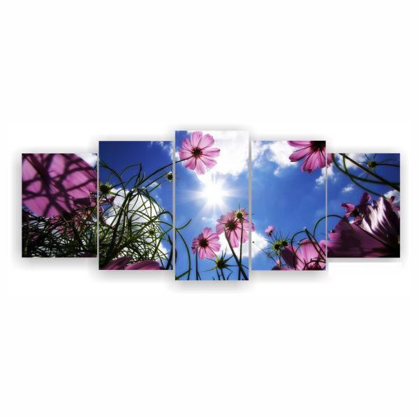1018 Flores en el cielo