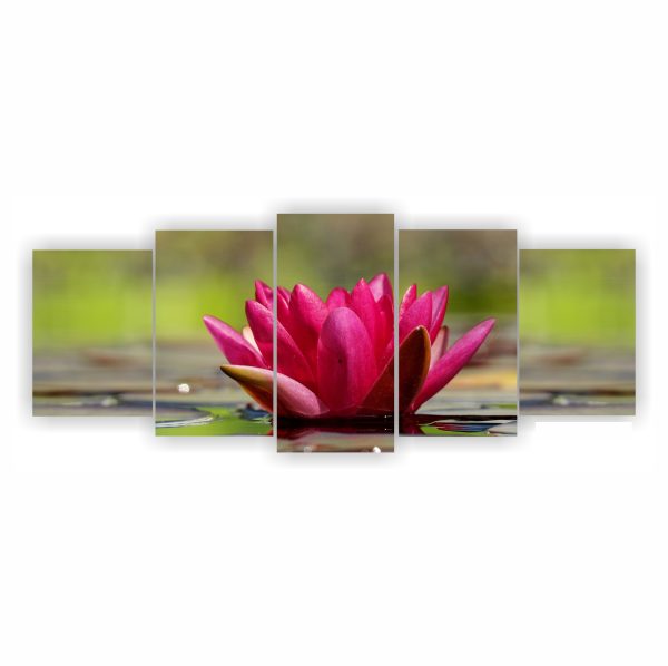 1021 Flor de loto