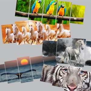Cuadros: Animales